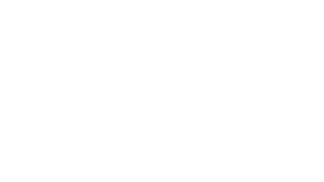 Pure Hydroponic Lettuce